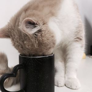 色欲第一会所 magnet
