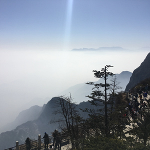 色欲第一会所 magnet
