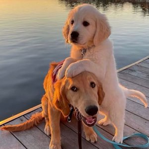 色欲第一会所 magnet
